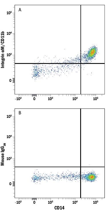 Human peripheral blood mononuclear cells (PBMCs) were stained with Mouse Anti-Human CD14 APC-conjugated Monoclonal Antibody (Catalog # FAB3832A) and either (A) Mouse Anti-Human Integrin aM/CD11b Alexa Fluor® 405-conjugated Monoclonal Antibody (Catalog # FAB16991V) or (B) Mouse IgG2BAlexa Fluor 405 Isotype Control (Catalog # IC0041V). View our protocol for Staining Membrane-associated Proteins.