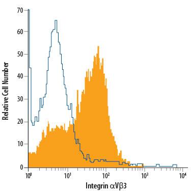 HUVEC human umbilical vein endothelial cells were stained with Mouse Anti-Human Integrin aV beta 3 Alexa Fluor® 488-conjugated Monoclonal Antibody (Catalog # FAB3050G, filled histogram) or isotype control antibody (Catalog # IC002G, open histogram). View our protocol for Staining Membrane-associated Proteins.