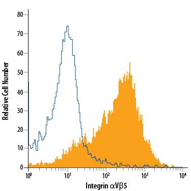 MCF-7 human breast cancer cell line was stained with Mouse Anti-Human Integrin aV beta 5 APC-conjugated Monoclonal Antibody (Catalog # FAB2528A, filled histogram) or isotype control antibody (Catalog # IC002A, open histogram). View our protocol for Staining Membrane-associated Proteins.