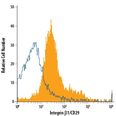 Canine peripheral blood mononuclear cells (PBMCs) were stained with Goat Anti-Human/Canine Integrin  beta 1/CD29 Antigen Affinity-purified Polyclonal Antibody (Catalog # AF1778, filled histogram) or isotype control antibody (Catalog # AB-108-C, open histogram), followed by Phycoerythrin-conjugated Anti-Goat IgG Secondary Antibody (Catalog # F0107).