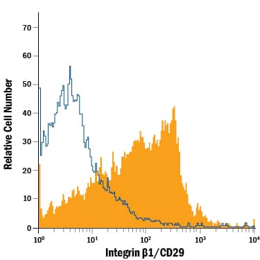 Equine peripheral blood mononuclear cells (PBMCs) were stained with Mouse Anti-Human/Porcine/Equine Integrin  beta 1/CD29 Monoclonal Antibody (Catalog # MAB17783, filled histogram) or isotype control antibody (MAB004, open histogram), followed by PE-conjugated Anti-Mouse IgG Secondary Antibody (Catalog # F0102B).
