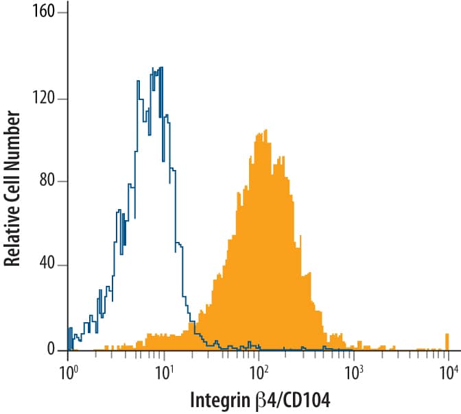 CMT-93 mouse rectal carcinoma cell line was stained with Mouse Integrin  beta 4/CD104 Monoclonal Antibody (Catalog # MAB4054, filled histogram) or isotype control antibody (Catalog # MAB006, open histogram), followed by Phycoerythrin-conjugated Anti-Rat IgG F(ab')2Secondary Antibody (Catalog # F0105B).
