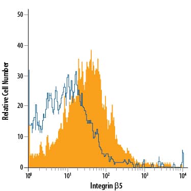 bEnd.3 mouse endothelioma cell line was stained with Sheep Anti-Mouse/Rat Integrin  beta 5 Antigen Affinity-purified Polyclonal Antibody (Catalog # AF8035, filled histogram) or isotype control antibody (Catalog # 5-001-A, open histogram), followed by Allophycocyanin-conjugated Anti-Sheep IgG Secondary Antibody (Catalog # F0127).