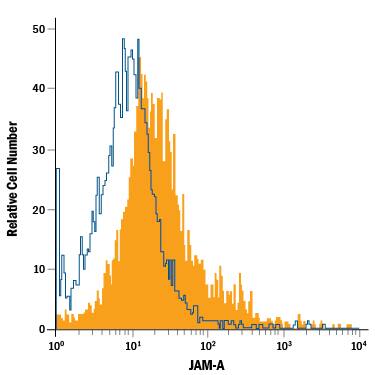MCF-7 human breast cancer cell line was stained with Mouse Anti-Human JAM-A APC-conjugated Monoclonal Antibody (Catalog # FAB1103A, filled histogram) or isotype control antibody (Catalog # IC002A, open histogram). View our protocol for Staining Membrane-associated Proteins.