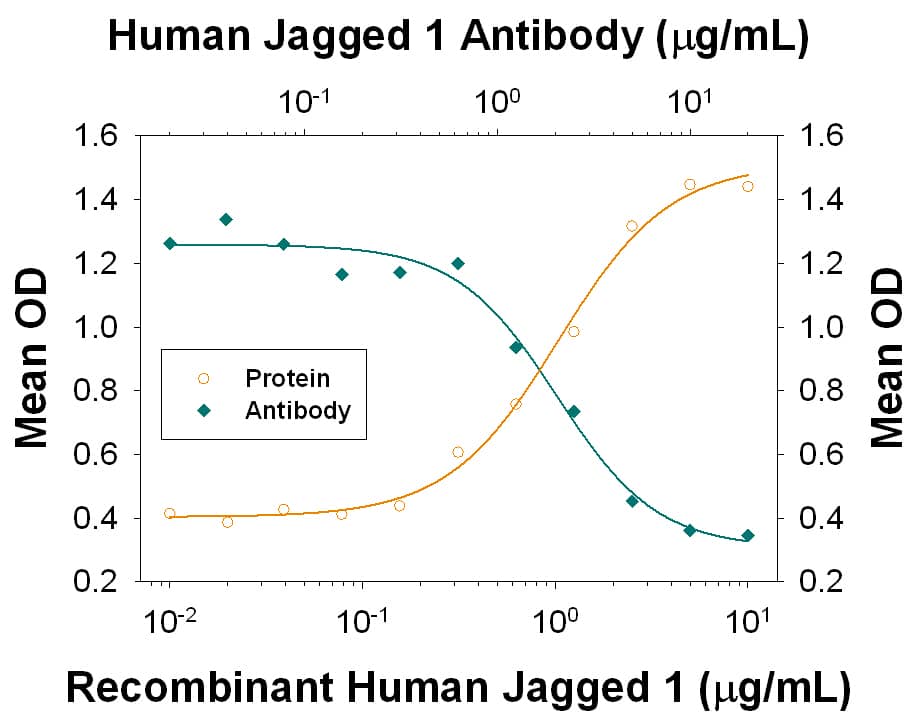 Neutralization Jagged 1 Antibody [Unconjugated]