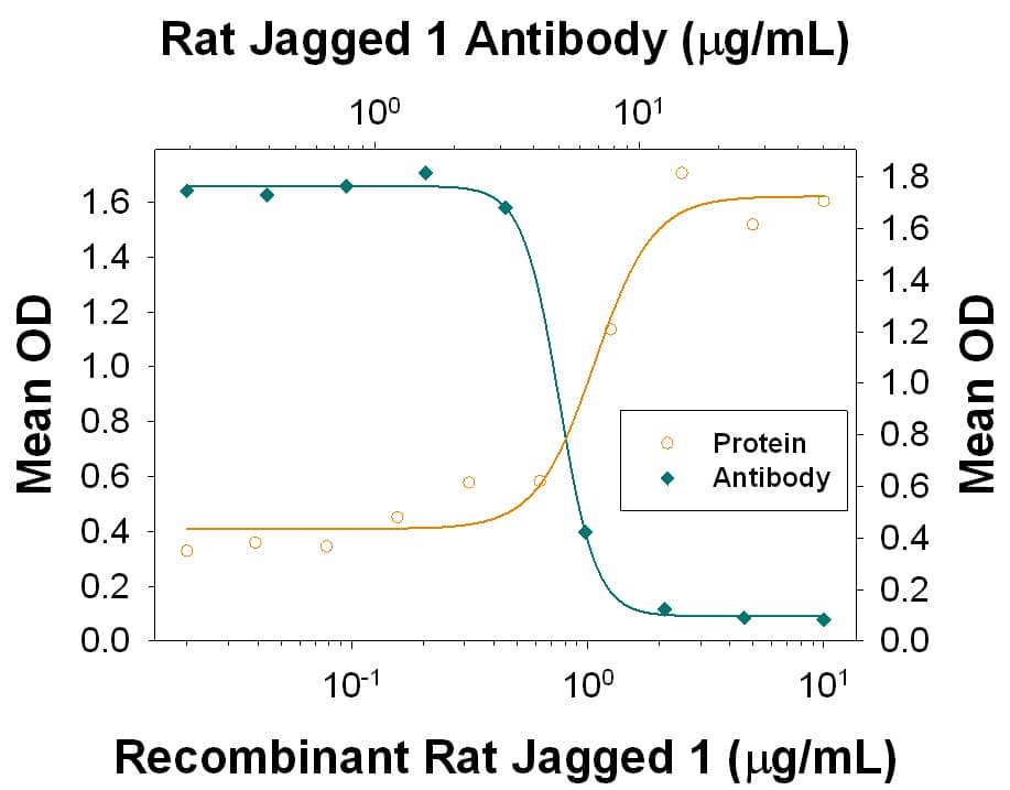 Neutralization Jagged 1 Antibody [Unconjugated]