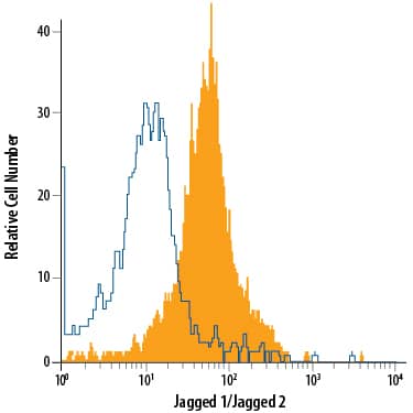 HUVEC human umbilical vein endothelial cells were stained with Mouse Anti-Human/Mouse Jagged 1/Jagged 2 APC-conjugated Monoclonal Antibody (Catalog # FAB1726A, filled histogram) or isotype control antibody (Catalog # IC0041A, open histogram). View our protocol for Staining Membrane-associated Proteins.