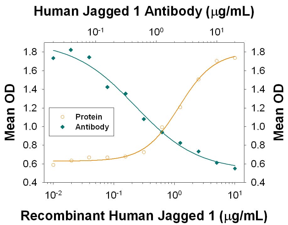 Recombinant Human Jagged 1 Fc Chimera (Catalog # 1277-JG) induces alkaline phosphatase production in the C3H10T1/2 mouse embryonic fibroblast cell line in the presence of Recombinant Human/Mouse/Rat BMP-2 (Catalog # 355-BM) in a dose-dependent manner (orange line). Alkaline phosphatase production elicited by Recombinant Human Jagged 1 Fc Chimera (5 µg/mL) is neutralized (green line) by increasing concentrations of Mouse Anti-Human Jagged 1 Monoclonal Antibody (Catalog # MAB12771). The ND50 is typically 0.5-3 µg/mL.