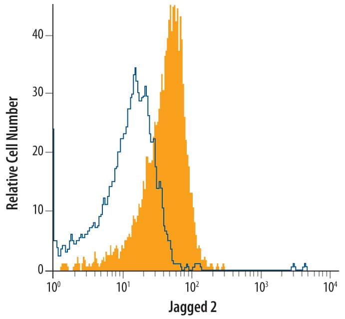 Flow Cytometry Jagged 2 Antibody (746513)
