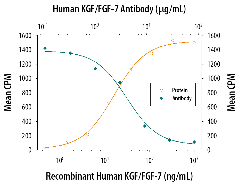 Recombinant Human KGF/FGF‑7 (Catalog # 251-KG) stimulates proliferation in the 4MBr‑5 rhesus monkey epithelial cell line in a dose-dependent manner (orange line). Proliferation elicited by Recombinant Human KGF/FGF‑7 (125 ng/mL) is neutralized (green line) by increasing concentrations of Goat Anti-Human KGF/FGF‑7 Antigen Affinity-purified Polyclonal Antibody (Catalog # AF-251-NA). The ND50 is typically 6-12 µg/mL.