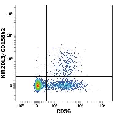 Human peripheral blood mononuclear cells (PBMCs) were stained with Mouse Anti-Human KIR2DL3/CD158b2 APC-conjugated Monoclonal Antibody (Catalog # FAB2014A) and Mouse Anti-Human NCAM-1/CD56 PE-conjugated Monoclonal Antibody (Catalog # FAB2408P). View our protocol for Staining Membrane-associated Proteins.