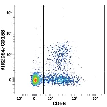 Human peripheral blood mononuclear cells (PBMCs) were stained with Mouse Anti-Human KIR2DS4/CD158i APC‑conjugated Monoclonal Antibody (Catalog # FAB1847A) and Mouse Anti-Human NCAM‑1/CD56 PE‑conjugated Monoclonal Antibody (Catalog # FAB2408P). Quadrant markers were set based on control antibody staining (Catalog # IC003A). View our protocol for Staining Membrane-associated Proteins.