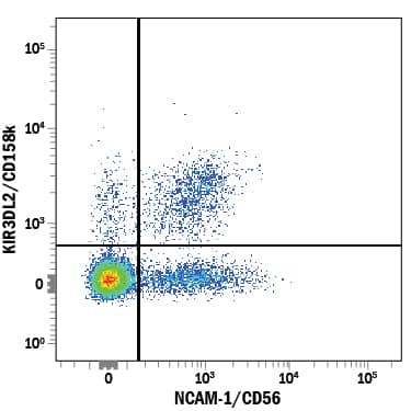 Human peripheral blood mononuclear cells (PBMCs) were stained with Mouse Anti-Human KIR3DL2/CD158k PE-conjugated Monoclonal Antibody (Catalog # FAB2878P) and Mouse Anti-Human NCAM-1/CD56 APC-conjugated Monoclonal Antibody (Catalog # FAB2408A). Quadrant markers were set based on control antibody staining (Catalog # IC002P). View our protocol for Staining Membrane-associated Proteins.