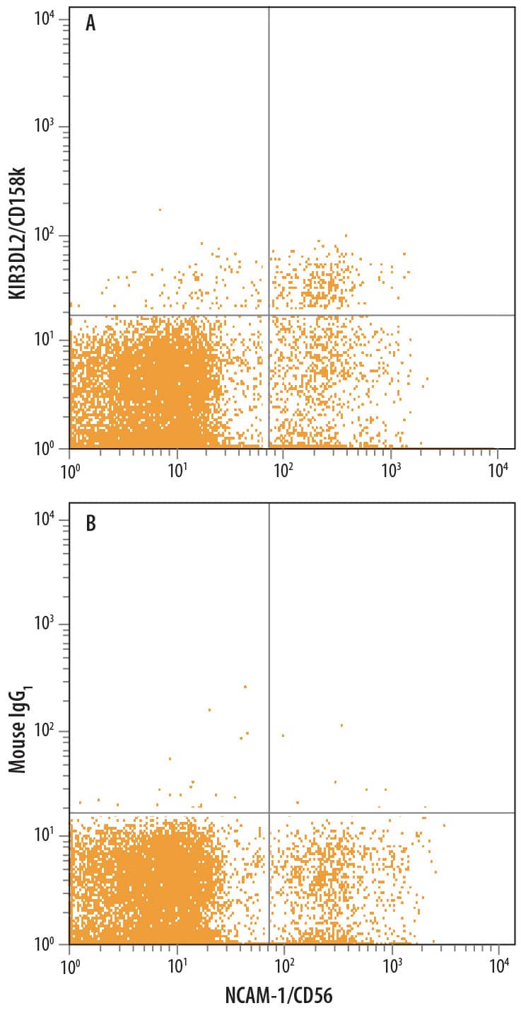 Flow Cytometry KIR3DL2/CD158k Antibody (539304)