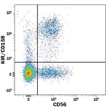 Human peripheral blood mononuclear cells (PBMCs) were stained with Mouse Anti-Human KIR/CD158 PE-conjugated Monoclonal Antibody (Catalog # FAB1848P) and Mouse Anti-Human NCAM-1/CD56 APC-conjugated Monoclonal Antibody (Catalog # FAB2408A). View our protocol for Staining Membrane-associated Proteins.