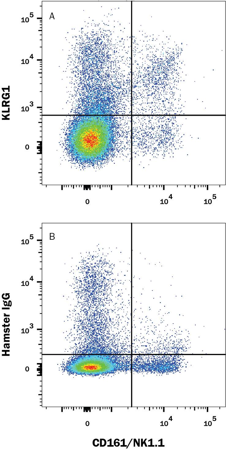 Mouse splenocytes were stained with Rat anti-Mouse CD161/NK1.1 PE-conjugated Monoclonal Antibody (Catalog # FAB8319P) and either (A) Hamster Anti-Mouse KLRG1 Monoclonal Antibody (Catalog # MAB69441) or (B) Hamster IgG control antibody followed by APC-conjugated Anti-Hamster IgG Secondary Antibody. View our protocol for Staining Membrane-associated Proteins.