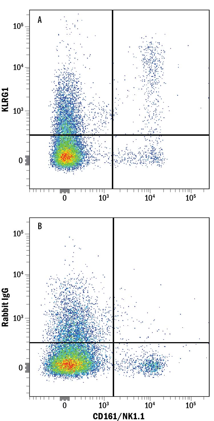 Mouse splenocytes were stained with Rat Anti-Mouse CD161/NK1.1 APC-conjugated Monoclonal Antibody (Catalog # FAB7614A) and either (A) Rabbit Anti-Mouse KLRG1 Monoclonal Antibody (Catalog # MAB6944) or (B) Normal Rabbit IgG Control (Catalog # AB-105-C) followed by Phycoerythrin-conjugated Anti-Rabbit IgG Secondary Antibody (Catalog # F0110).