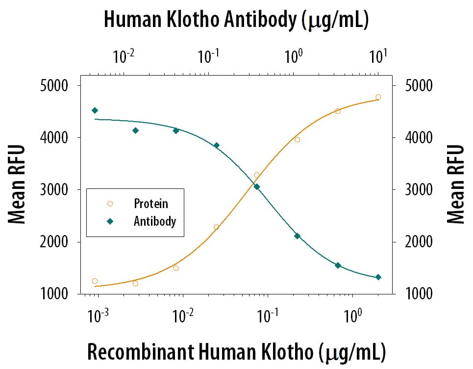 Recombinant Human Klotho (Catalog # 5334-KL) induces proliferation in the BaF3 mouse pro-B cell line transfected with human FGF RIIIc in a dose-dependent manner (orange line). Proliferation elicited by Recombinant Human Klotho (0.3 µg/mL) is neutralized (green line) by increasing concen-trations of Rat Anti-Human Klotho Monoclonal Antibody (Catalog # MAB5334). The ND50 is typically 0.15-0.6 µg/mL.