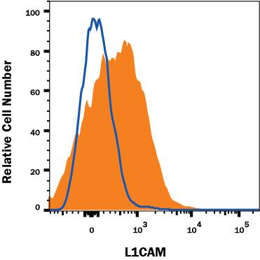 Mouse splenocytes were stained with Rat Anti-Mouse L1CAM Alexa Fluor® 647-conjugated Monoclonal Antibody (Catalog # FAB5674R, filled histogram) or isotype control antibody (Catalog # IC006R, open histogram). View our protocol for Staining Membrane-associated Proteins.