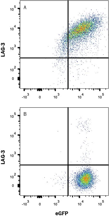 Flow Cytometry LAG-3 Antibody [Unconjugated]
