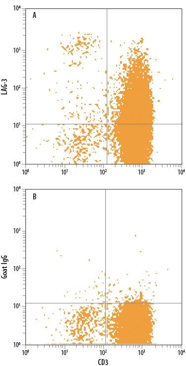 CD3+Human peripheral blood mononuclear cells (PBMCs) treated with 5 µg/mL PHA for 5 days were stained with Mouse Anti-Human CD3e PE-conjugated Monoclonal Antibody (Catalog # FAB100P) and either (A) Goat Anti-Human LAG-3 Biotinylated Antigen Affinity-purified Polyclonal Antibody (Catalog # BAF2319) or (B) Normal Goat IgG Biotinylated Control (Catalog # BAF108) followed by Streptavidin-Allophycocyanin (Catalog # F0050).