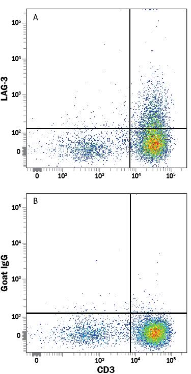 Human peripheral blood mononuclear cells (PBMCs) treated with 1 µg/mL PHA for 5 days were stained with Mouse Anti-Human CD3e PE-conjugated Monoclonal Antibody (Catalog # FAB100P) and either (A) Goat Anti-Human LAG-3 APC-conjugated Antigen Affinity-purified Polyclonal Antibody (Catalog # FAB2319A) or (B) Normal Goat IgG Allophycocyanin Control (Catalog # IC108A). View our protocol for Staining Membrane-associated Proteins.