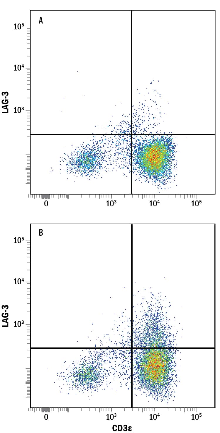 CD3+human peripheral blood mononuclear cells (PBMCs) were either (A) untreated or (B) treated with 1 µg/mL PHA for 5 days were stained with Goat Anti-Human LAG-3 PerCP-conjugated Antigen Affinity-purified Polyclonal Antibody (Catalog # FAB2319C) and Mouse Anti-Human CD3e Fluorescein-conjugated Monoclonal Antibody (Catalog # FAB100F). Quadrant markers were set based on control antibody staining (Catalog # IC108C). View our protocol for Staining Membrane-associated Proteins.
