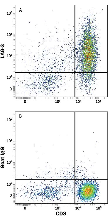 CD3+ PHA-treated peripheral blood mononuclear cells (PBMCs) were stained with Mouse Anti-Human CD3e APC-conjugated Monoclonal Antibody (Catalog # FAB100A) and either (A) Goat Anti-Human LAG-3 PE-conjugated Antigen Affinity-purified Polyclonal Antibody (Catalog # FAB2319P) or (B) Normal Goat IgG Phycoerythrin Control (Catalog # IC108P). View our protocol for Staining Membrane-associated Proteins.