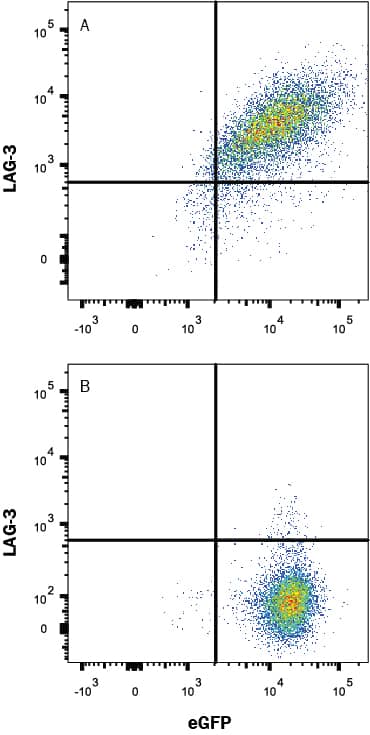 Flow Cytometry LAG-3 Antibody (874501) [Unconjugated]