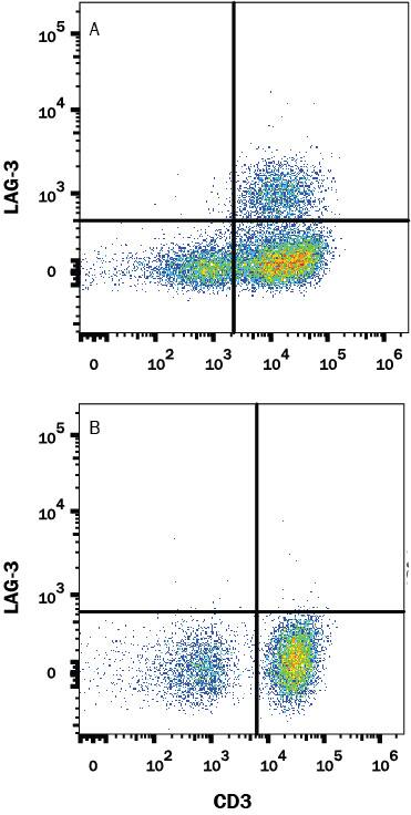 <b>Biological Strategies Validation. </b>Human peripheral blood mononuclear cells (PBMCs) were either untreated (bottom panel) or treated with with 5 µg/mL PHA (top panel) for 5 days. PBMCs were stained with Mouse Anti-Human LAG-3 Monoclonal Antibody (Catalog # MAB23195) followed by Allophycocyanin-conjugated Anti-Mouse IgG Secondary Antibody (Catalog # F0101B) and Mouse Anti-Human CD3 epsilon PE-conjugated Monoclonal Antibody (Catalog # FAB100P). Quadrant markers were set based on isotype control antibody staining (Catalog # MAB003) (data not shown). View our protocol for Staining Membrane-associated Proteins.