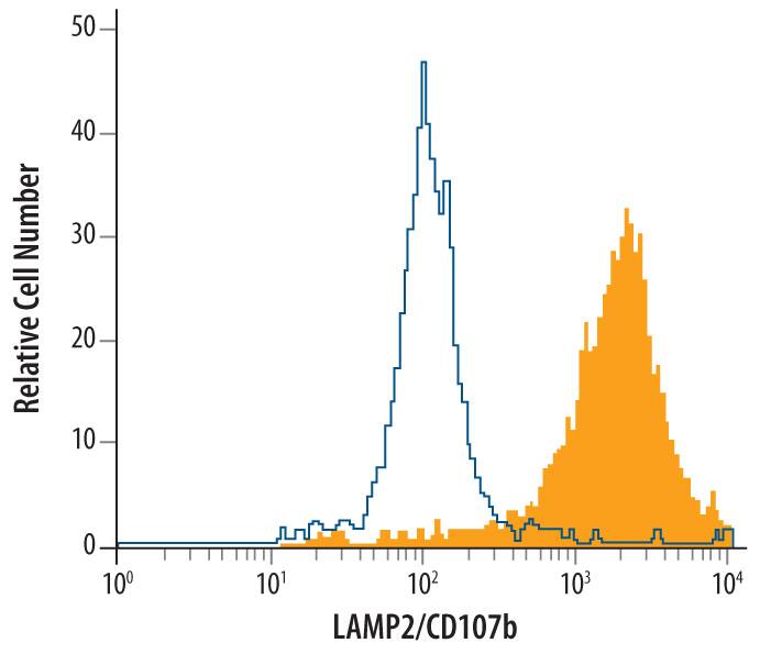 HeLa human cervical epithelial carcinoma cell line was stained with Goat Anti-Human LAMP2/CD107b Antigen Affinity-purified Polyclonal Antibody (Catalog # AF6228, filled histogram) or control antibody (Catalog # AB-108-C, open histogram), followed by Allophycocyanin-conjugated Anti-Goat IgG Secondary Antibody (Catalog # F0108). To facilitate intracellular staining, cells were fixed with paraformaldehyde and permeabilized with saponin.