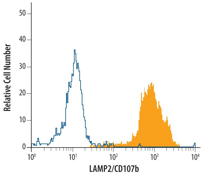 HeLa human cervical epithelial carcinoma cell line was stained with Mouse Anti-Human LAMP2/CD107b Monoclonal Antibody (Catalog # MAB6228, filled histogram) or isotype control antibody (Catalog # MAB002, open histogram), followed by Allophycocyanin-conjugated Anti-Mouse IgG Secondary Antibody (Catalog # F0101B). To facilitate intracellular staining, cells were fixed with paraformaldehyde and permeabilized with saponin.