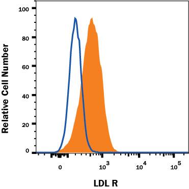 RAW 264.7 mouse monocyte/macrophage cell line, deprived of serum for 24 hours, was stained with Rat Anti-Mouse LDL R PE-conjugated Monoclonal Antibody (Catalog # FAB2255P, filled histogram) or isotype control antibody (Catalog # IC006P, open histogram). View our protocol for Staining Membrane-associated Proteins.