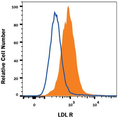 RAW 264.7 mouse monocyte/macrophage cell line was stained with Rat Anti-Mouse LDL R Monoclonal Antibody (Catalog # MAB2255, filled histogram) or isotype control antibody (Catalog # MAB006, open histogram), followed by Allophycocyanin-conjugated Anti-Rat IgG Secondary Antibody (Catalog # F0113). View our protocol for Staining Membrane-associated Proteins.