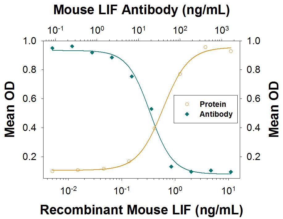Recombinant Mouse LIF (Catalog # 8878-LF) stimulates IL-6 secretion in the M1 mouse myeloid leukemia cell line in a dose-dependent manner (orange line) as measured by the Mouse IL-6 Quantikine ELISA (Catalog # M6000B). IL-6 secretion elicited by 3 ng/mL Recombinant Mouse LIF is neutralized (green line) by increasing concentrations of Goat Anti-Mouse LIF Antigen Affinity-purified Polyclonal Antibody (Catalog # AF449). The ND50 is typically 10-60 ng/mL.
