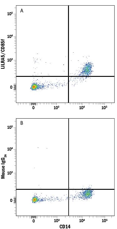 Human peripheral blood mononuclear cells (PBMCs) gated on monocytes were stained with Mouse Anti-Human CD14 PE-conjugated Monoclonal Antibody (Catalog # FAB3832P) and either (A) Mouse Anti-Human LILRA5/CD85f Alexa Fluor® 700-conjugated Monoclonal Antibody (Catalog # FAB6754N) or (B) Mouse IgG2AAlexa Fluor 700 Isotype Control (Catalog # IC003N). View our protocol for Staining Membrane-associated Proteins.