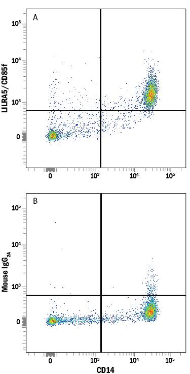 Human peripheral blood mononuclear cells (PBMCs) gated on monocytes were stained with Mouse Anti-Human CD14 PE-conjugated Monoclonal Antibody (Catalog # FAB3832P) and either (A) Mouse Anti-Human LILRA5/CD85f Alexa Fluor® 647-conjugated Monoclonal Antibody (Catalog # FAB6754R) or (B) Mouse IgG2AAlexa Fluor 647 Isotype Control (Catalog # IC003R). View our protocol for Staining Membrane-associated Proteins.