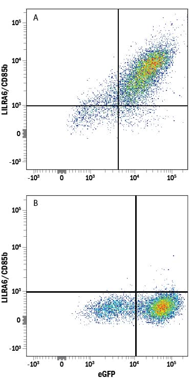 Flow Cytometry ILT8/CD85b/LILRA6 Antibody (921330) [Unconjugated]