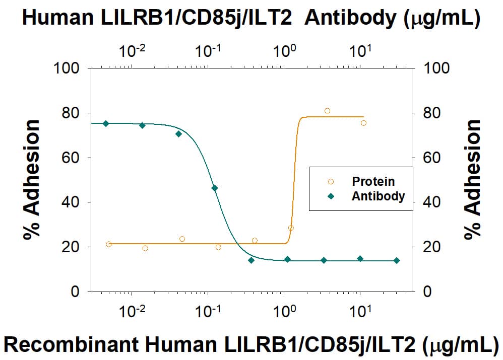 Recombinant Human LILRB1/CD85j/ILT2 Fc Chimera (Catalog # 2017-T2), immobilized onto a microplate, supports the adhesion of the HSB2 human peripheral blood acute lymphoblastic leukemia cell line in a dose-dependent manner (orange line), as measured by CalceinAM. Adhesion elicited by Recombinant Human LILRB1/CD85j/ILT2 Fc Chimera (5 µg/mL) is neutralized (green line) by increasing concentrations of Mouse Anti-Human LILRB1/CD85j/ILT2 Monoclonal Antibody (Catalog # MAB20174). The ND50 is typically 0.05-0.4 µg/mL.