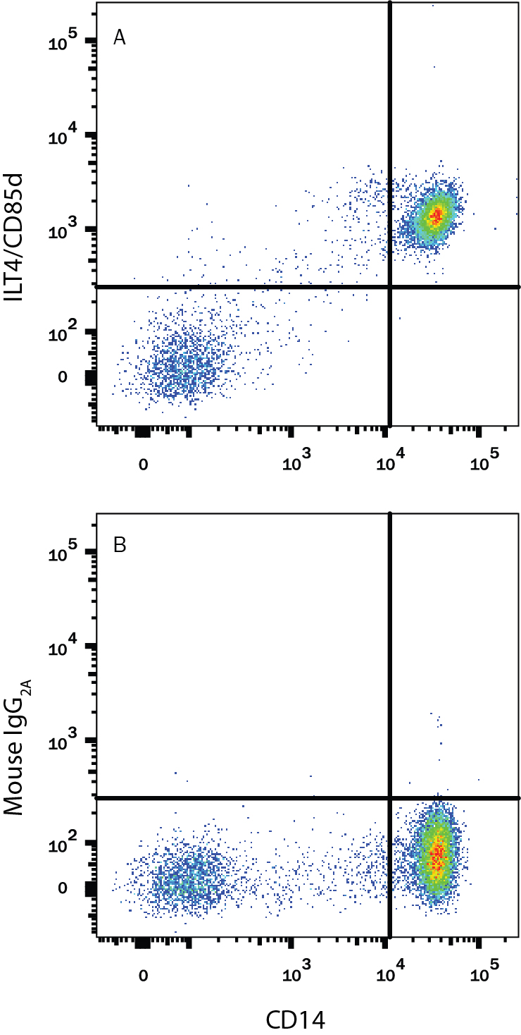 Human peripheral blood mononuclear cells (PBMCs) were stained with Mouse Anti-Human CD14 PE-conjugated Monoclonal Antibody (Catalog # FAB3832P) and either (A) Mouse Anti-Human LILRB2/CD85d/ILT4 Alexa Fluor® 700-conjugated Monoclonal Antibody (Catalog # FAB2078N) or (B) Mouse IgG2AAlexa Fluor 700 Isotype Control (Catalog # IC003N). View our protocol for Staining Membrane-associated Proteins.
