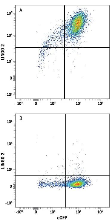 Flow Cytometry LINGO-2 Antibody (382007) [Unconjugated]
