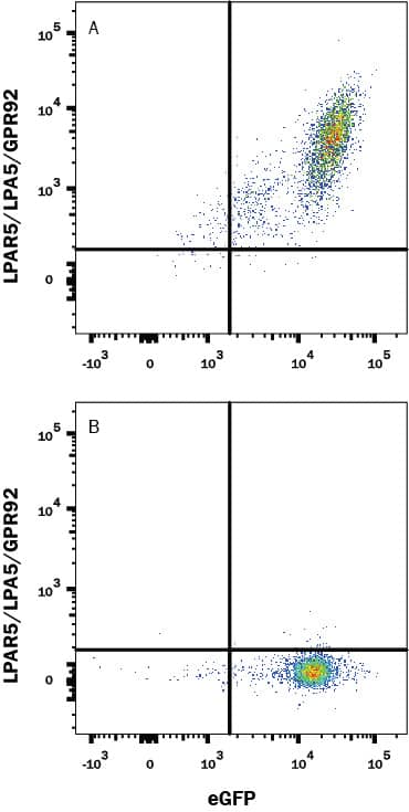 Flow Cytometry LPAR5/LPA5/GPR92 Antibody (459812) [Unconjugated]