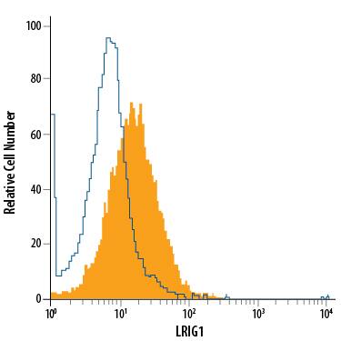 D3 mouse embryonic stem cell line was stained with Goat Anti-Mouse LRIG1 PE-conjugated Antigen Affinity-purified Polyclonal Antibody (Catalog # FAB3688P, filled histogram) or isotype control antibody (Catalog # IC108P, open histogram). View our protocol for Staining Membrane-associated Proteins.