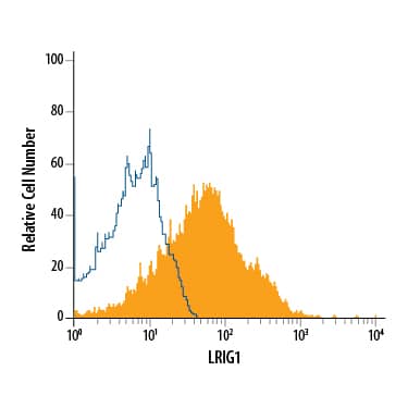 LNCaP human prostate cancer cell line was stained with Mouse Anti-Human LRIG1 Monoclonal Antibody (Catalog # MAB7498, filled histogram) or isotype control antibody (Catalog # MAB0041, open histogram), followed by Allophycocyanin-conjugated Anti-Mouse IgG Secondary Antibody (Catalog # F0101B).