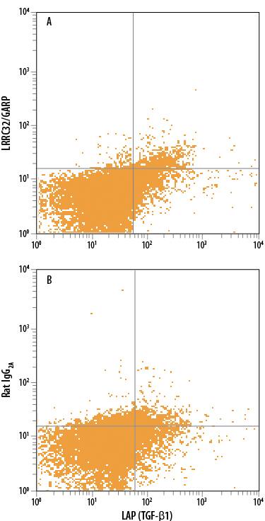 Human peripheral blood mononuclear cells (PBMCs) stimulated to induce Regulatory T Cells (Tregs) treated with 10 µg/mL Anti-CD3, 5 µg/mL Anti-CD28, 10 ng/mL Recombinant Human TGF-beta 1 (Catalog # 240-B), and 20 ng/mL Recombinant Human IL-2 (Catalog # 202-IL) for 48 hours were stained with Mouse Anti-Human LAP TGF-beta 1 APC-conjugated Monoclonal Antibody (Catalog # FAB2463A) and either (A) Rat Anti-Human LRRC32/GARP Alexa Fluor® 488-conjugated Monoclonal Antibody (Catalog # FAB6055G) or (B) Rat IgG2AAlexa Fluor 488 Isotype Control (Catalog # IC006G). View our protocol for Staining Membrane-associated Proteins.