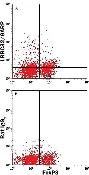 Mouse splenocytes were stimulated with anti-CD3/anti-CD28, Mouse Recombinant IL-2 (Catalog # 402-ML), and TGF-beta for 3 days to induce regulatory T cell differentiation. Cells were stained with Rat Anti-Mouse CD4 PerCP-conjugated Monoclonal Antibody (Catalog # FAB554C) and either (A) Rat Anti-Mouse LRRC32/GARP Alexa Fluor® 488-conjugated Monoclonal Antibody (Catalog # FAB62291G) or (B) Rat IgG1Alexa Fluor 488 Isotype Control (Catalog # IC005G). View our protocol for Staining Membrane-associated Proteins.