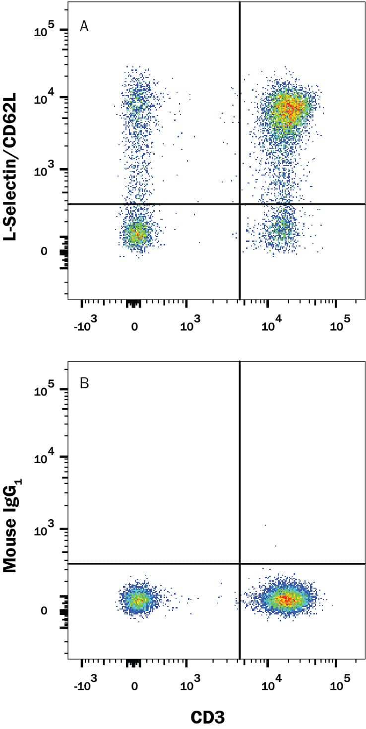 Human peripheral blood mononuclear cells (PBMCs) were stained with Mouse Anti-Human CD3 epsilon APC-conjugated Monoclonal Antibody (Catalog # FAB100A) and either (A) Mouse Anti-Human L-Selectin/CD62L Alexa Fluor® 488-conjugated Monoclonal Antibody (Catalog # FAB9787G) or (B) Mouse IgG1 Alexa Fluor® 488 Isotype Control (Catalog # IC002G). View our protocol for Staining Membrane-associated Proteins.