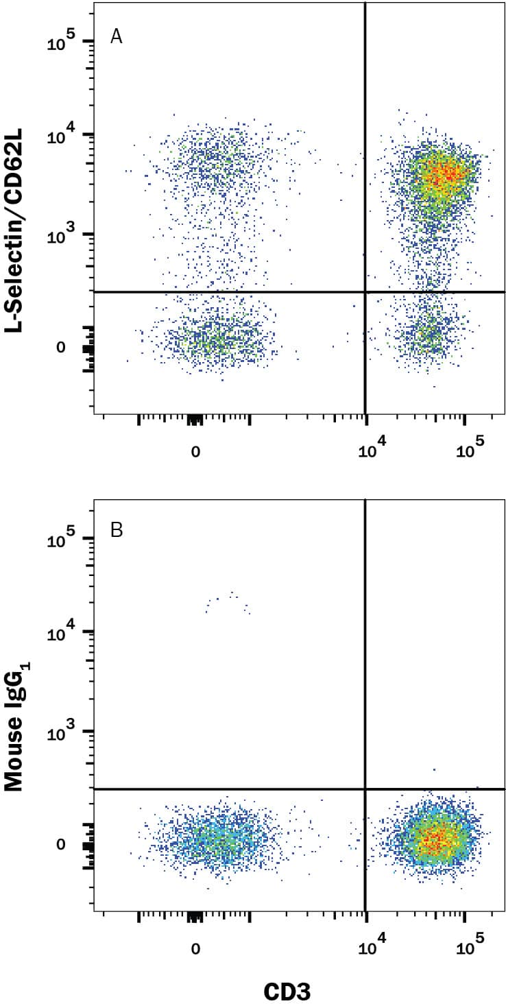 Human peripheral blood mononuclear cells (PBMCs) were stained with Mouse Anti-Human CD3 epsilon PE-conjugated Monoclonal Antibody (Catalog # FAB100P) and either (A) Mouse Anti-Human L-Selectin/CD62L Alexa Fluor® 647-conjugated Monoclonal Antibody (Catalog # FAB9787R) or (B) Mouse IgG1 Alexa Fluor® 647 Isotype Control (Catalog # IC002R). View our protocol for Staining Membrane-associated Proteins.