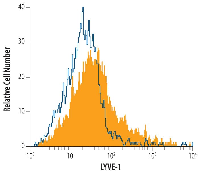 bEnd.3 mouse endothelioma cell line was stained with Rat Anti-Mouse LYVE-1 Monoclonal Antibody (Catalog # MAB2125, filled histogram) or isotype control antibody (MAB006, open histogram), followed by Phycoerythrin-conjugated Anti-Rat IgG Secondary Antibody (F0105B).