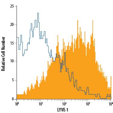 bEnd.3 mouse endothelioma cell line was stained with Rat Anti-Mouse LYVE-1 PE-conjugated Monoclonal Antibody (Catalog # FAB2125P, filled histogram) or isotype control antibody (Catalog # <a class=